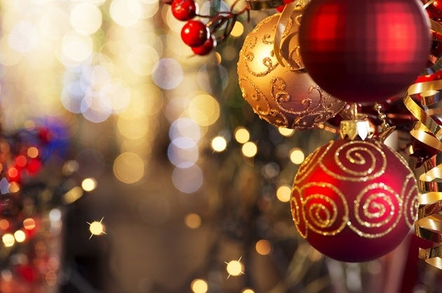 Spotlight on Festive season 2025